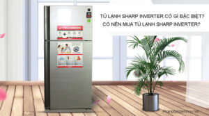 Tủ lạnh sharp inverter có gì đặc biệt? Có nên mua tủ lạnh Sharp Inverter?