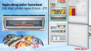 Đặc điểm của tủ lạnh Electrolux có ngăn đông mềm TasteSeal -2 độ C?