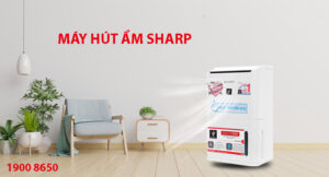 So sánh máy lọc không khí và máy hút ẩm Sharp