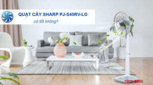 Quạt cây Sharp PJ-S40RV-LG có tốt không?