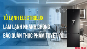 Tủ lạnh Electrolux có nguồn gốc từ đâu?