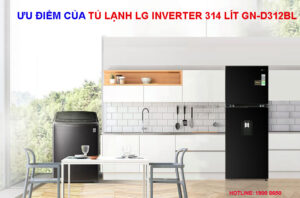 Ưu điểm của tủ lạnh LG Inverter 314 Lít GN-D312BL