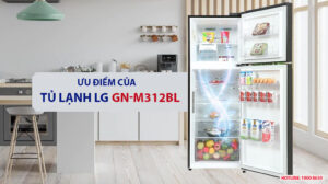 Ưu điểm của tủ lạnh LG GN-M312BL