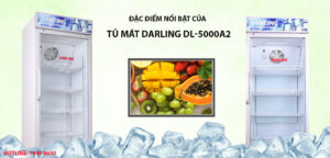 Đặc điểm nổi bật của tủ mát Darling DL-5000A2