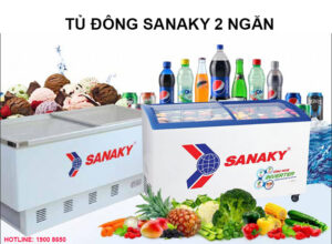 Ưu điểm và nhược điểm của tủ đông Sanaky 2 ngăn