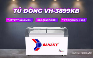 Tủ Đông Sanaky VH-3899KB có tốt không?