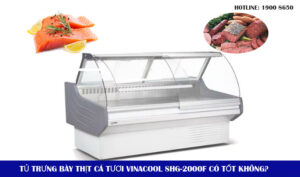 Tủ trưng bày thịt cá tươi Vinacool SHG-2000F có tốt không?