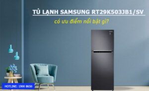 Tủ lạnh Samsung RT29K503JB1/SV có ưu điểm nổi bật gì?