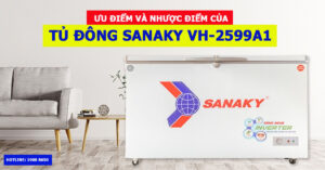 Ưu điểm và nhược điểm của tủ đông Sanaky VH-2599A1