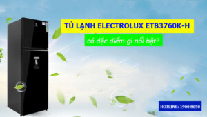 Tủ lạnh Electrolux ETB3760K-H có đặc điểm gì nổi bật?