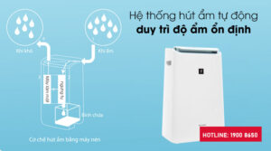 8 cách chọn mua máy hút ẩm tốt cho gia đình