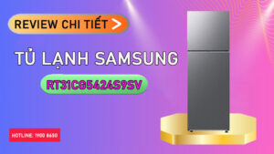 Review chi tiết Tủ Lạnh Samsung RT31CG5424S9SV