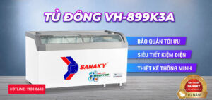 Review chi tiết Tủ Đông Sanaky VH-899K3A