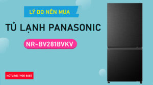 Lý do nên mua Tủ lạnh Panasonic NR-BV281BVKV
