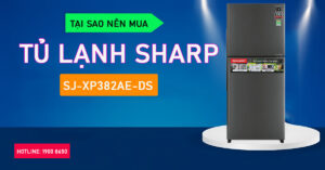 Tại sao nên mua Tủ lạnh Sharp SJ-XP382AE-DS