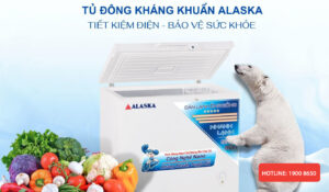 Có nên mua tủ đông Alaska BD-200C