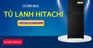 Có nên mua tủ lạnh Hitachi HRTN5255MFUVN