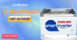 Có nên mua tủ kem Darling DMF-6079ASKI