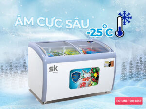 Đánh giá chi tiết tủ đông Sumikura SKFS-400C