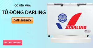 Có nên mua tủ đông Darling DMF-3888WX