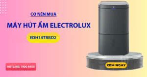 Có nên mua máy hút ẩm Electrolux EDH14TRBD2