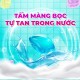 Viên giặt Zesty
