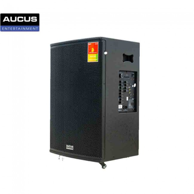 Loa Aucus AK1000
