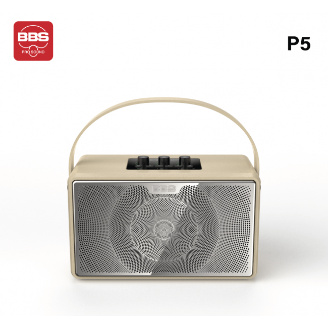 LOA KARAOKE DI ĐỘNG BBS P5