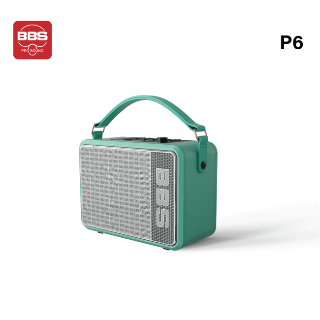 LOA KARAOKE DI ĐỘNG BBS P6