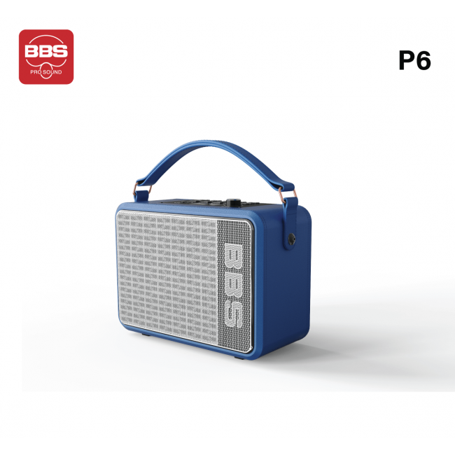 LOA KARAOKE DI ĐỘNG BBS P6