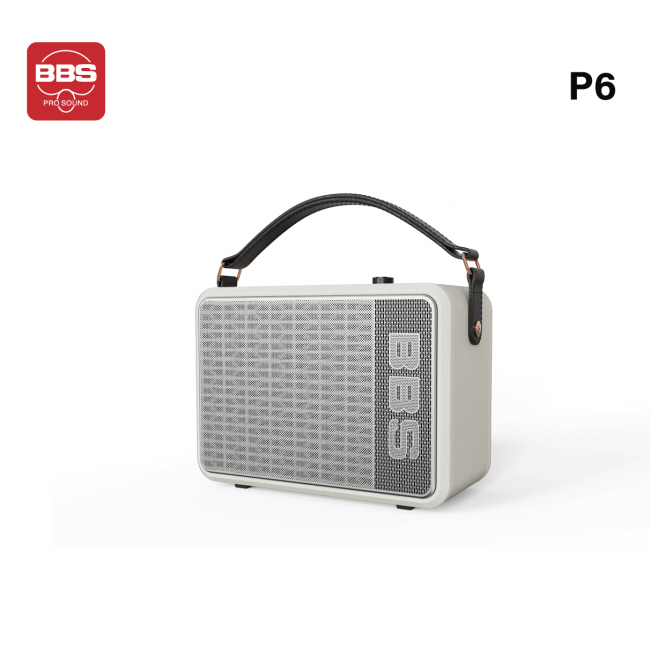 LOA KARAOKE DI ĐỘNG BBS P6