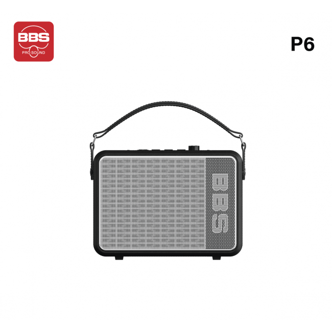 LOA KARAOKE DI ĐỘNG BBS P6