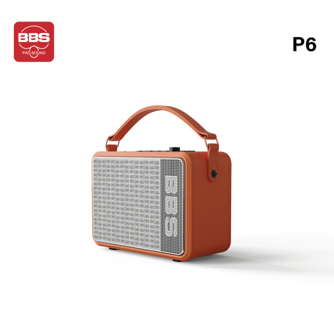 LOA KARAOKE DI ĐỘNG BBS P6