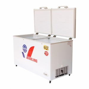 Tủ đông Darling DMF-6809WX