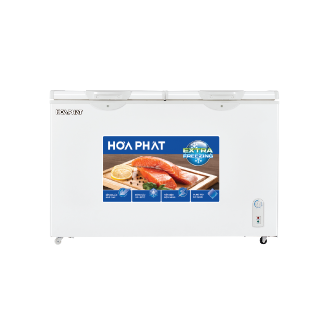 Tủ đông Hòa Phát HPF BD6240 240 lít