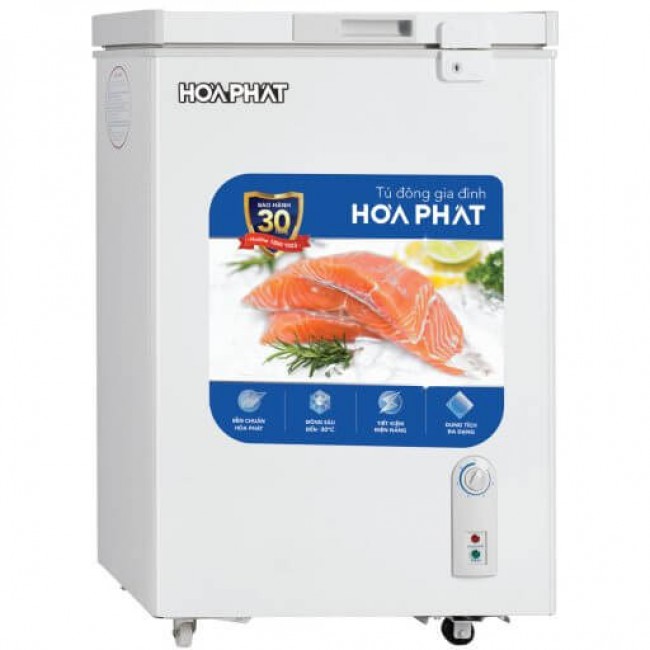 Tủ đông Hòa Phát HPF AD6107 1 ngăn 1 chế độ đông