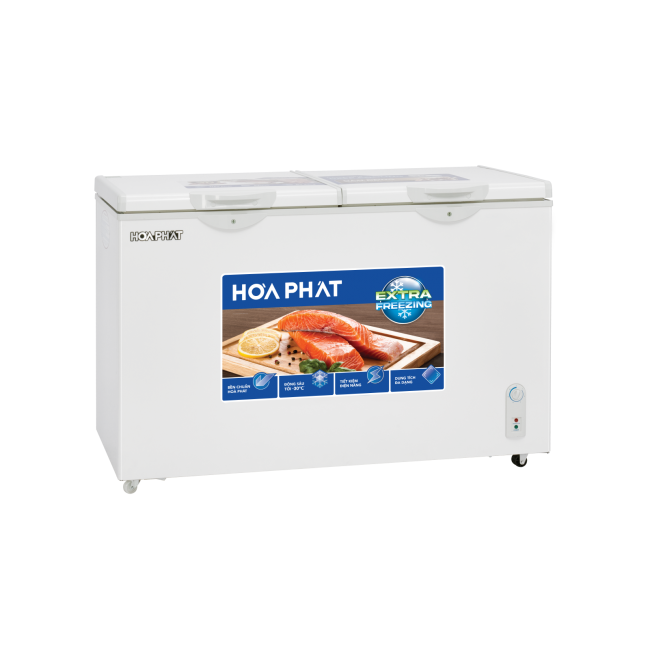 Tủ đông Hòa Phát HPF BD6295 295 lít