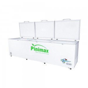 Tủ đông Pinimax PNM-119AF