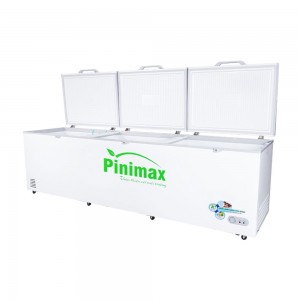 Tủ đông Pinimax PNM-139AF