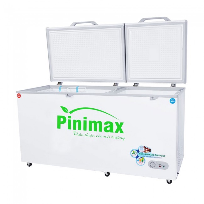 Tủ đông Pinimax PNM-59WF