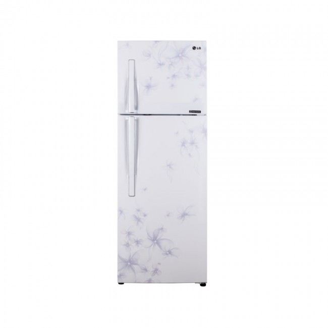 Tủ lạnh LG GN-L275BF Inverter 255 lít
