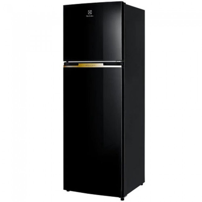 Tủ lạnh Electrolux ETB3400J-H Inverter