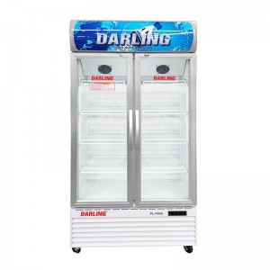 Tủ Mát Darling DL-9000A