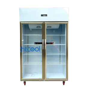 Tủ mát inox 2 cửa kính quạt lạnh LS-1200F Tủ mát inox 2 cửa kính quạt lạnh LS-1200F