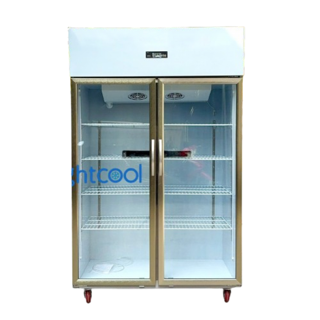 Tủ mát inox 2 cửa kính quạt lạnh LS-1200F