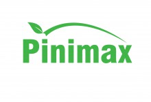 Pinimax