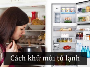 Khử Mùi Hôi Tủ Lạnh Hiệu Quả Giá Rẻ Khử Mùi Hôi Tủ Lạnh Hiệu Quả Giá Rẻ