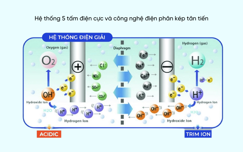 Sơ đồ hệ thống điện giải trong máy lọc nước ion kiềm Trim ion
