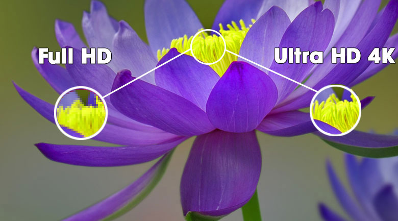 Hình ảnh hiển thị sắc nét gấp 4 lần Full HD nhờ độ phân giải Ultra HD 4K