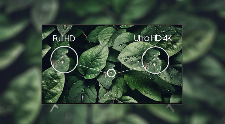 Hình ảnh hiển thị sắc nét gấp 4 lần Full HD với độ phân giải Ultra HD 4K